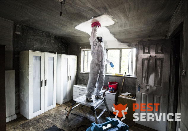 Профессиональная уборка помещений после пожара в Люберцах от 2500 руб: удаление сажи, копоти и запаха гари, глубокая очистка поверхностей и восстановление чистоты. Быстро, безопасно и эффективно.