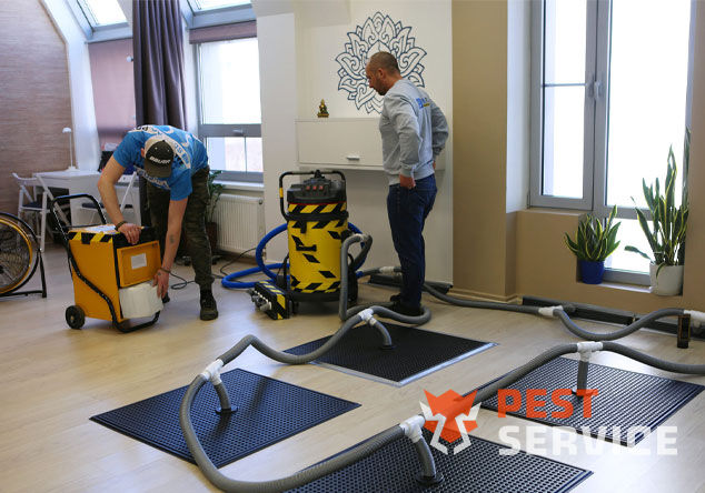 Профессиональная сушка после потопа в Люберцах от 3000 руб. Быстро устраняем влагу, предотвращаем плесень и повреждения. Современное оборудование и опытные специалисты. Безопасно и эффективно.